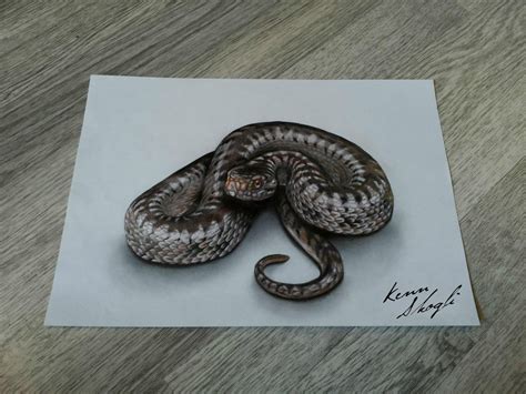 Snake 3d Drawing at GetDrawings | Free download