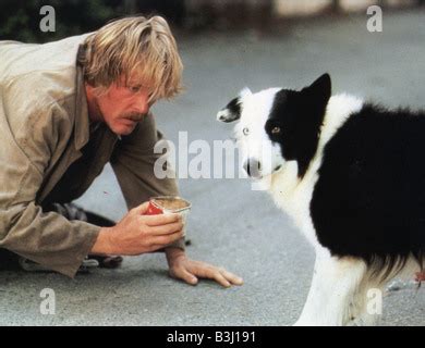 NICK NOLTE, DOWN AND OUT IN BEVERLY HILLS, 1986 Stock Photo - Alamy