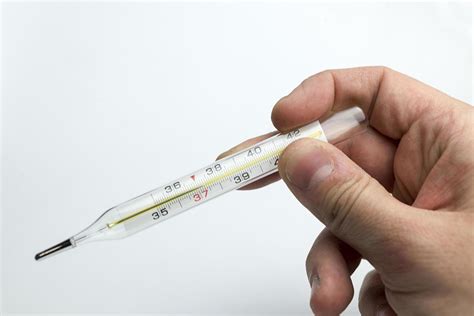 Hand holds a thermometer. 4968133 Stock Photo at Vecteezy