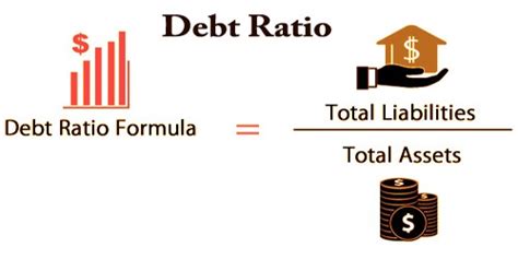 debt ratio assignment point