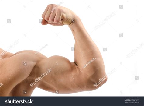 17,407 Man Flexing Arm Muscles Stock Photos, Images & Photography ...