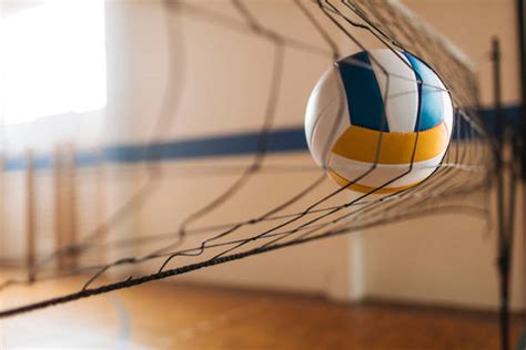 volleyball foto stok potret gambar bebas royalti istock
