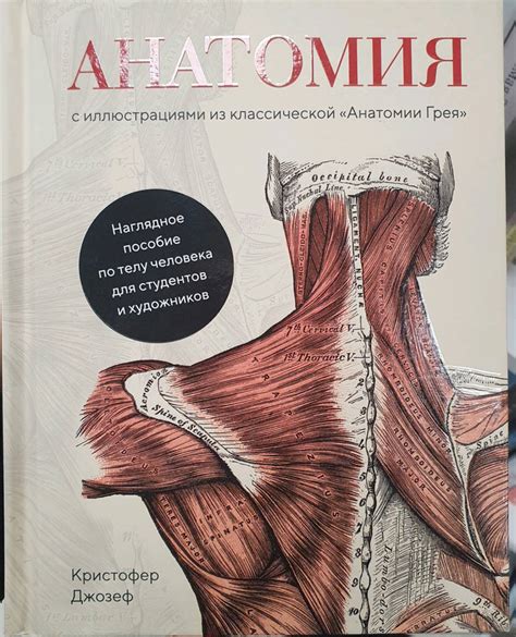 Книга: Анатомия - Кристофер Джозеф. Купить книгу, читать рецензии ...