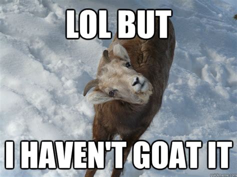 LOL BUT I haven't goat it - Goofy Goat - quickmeme