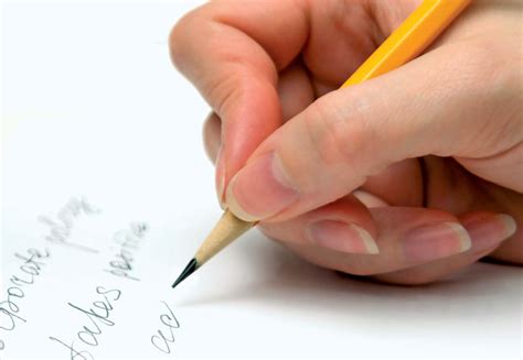 steps   writing essay paper jake sowyer tealfeed