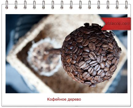 Мои МК | oblacco