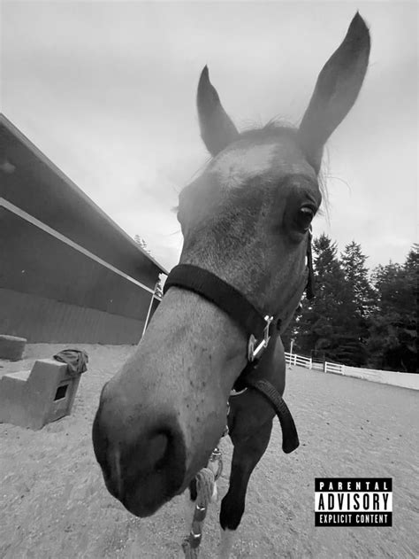 PARENTAL ADVISORY EXPLICIT CONTENT - iFunny Brazil