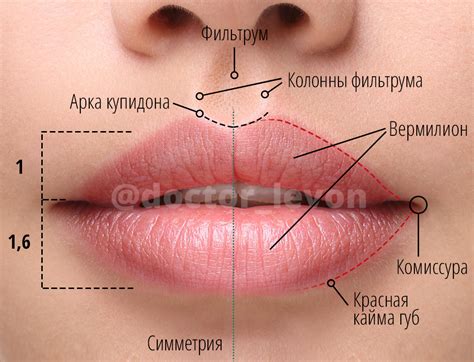 Точки Губ Фото — Photoby.Ru