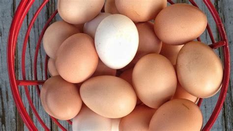 1 Dozen Heritage Chicken Eggs - Local Food Nodes