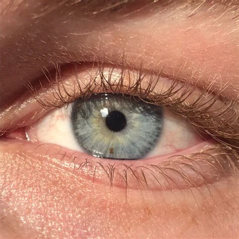 eye color wikipedia blue eye color blue eyes aesthetic blue green