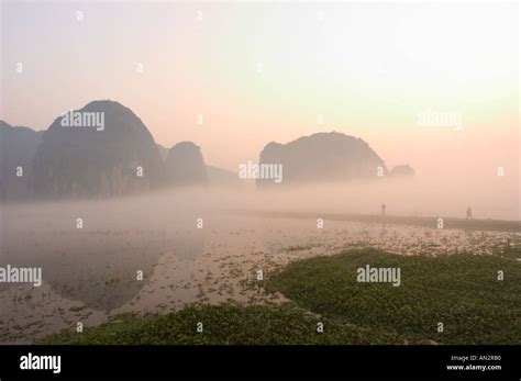 morning mist sunrise limestone mountain scenery Tam Coc Ninh Binh south ...