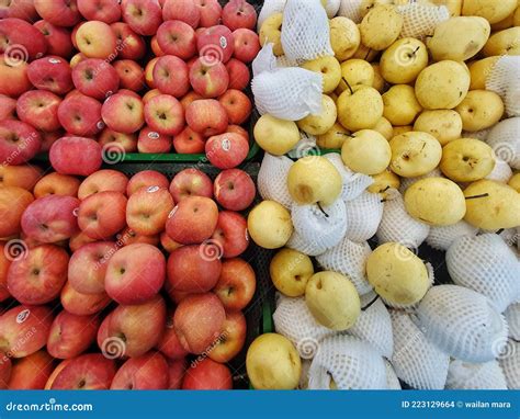 flavors  colors stock photo image  marketplace