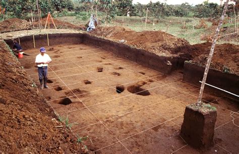 Huge network of ancient cities uncovered in the Amazon rainforest | CNN