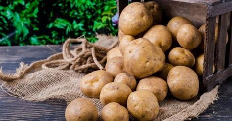 Сколько стоит 1 кг картофеля - цены неумолимо снижаются — УНИАН