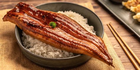 mengungkap  manfaat belut  ibu hamil yoona