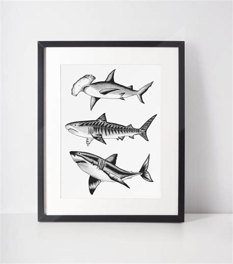 Shark Print Shark Prints Shark Art Print Shark Decor - Etsy