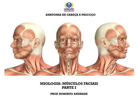 06-Músculos Faciais - Resumo de anatomia cabeça e pescoço - MIOLOGIA ...