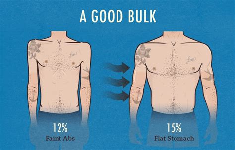 Best body-fat percentage for bulking (men) — Bony to Beastly