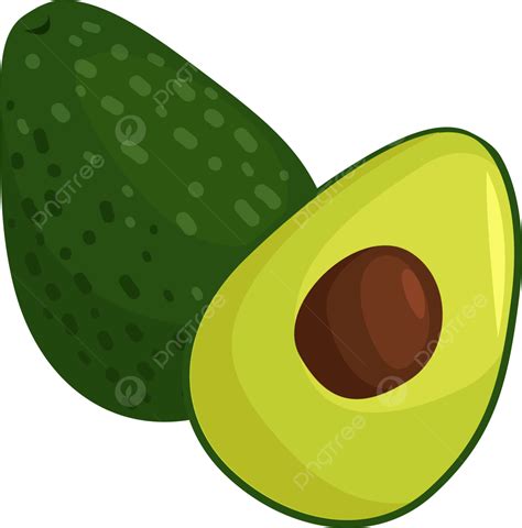 Avocado Vector, Avocado Art, Avocado Eps, Fruit PNG and Vector with ...