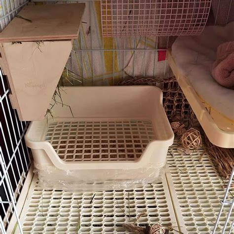 how to train a rabbit to litter box 2