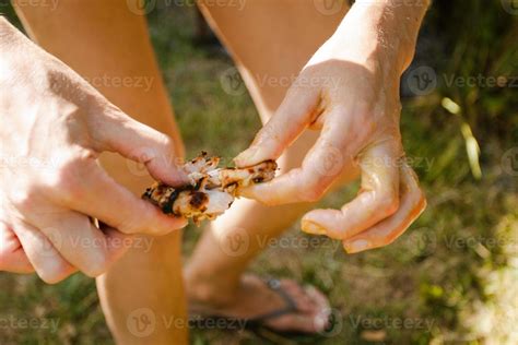 Photo of hands holding a chicken kebab. 10758581 Stock Photo at Vecteezy