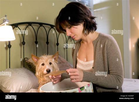 THE LAKE HOUSE, Sandra Bullock, 2006, ©Warner Bros./courtesy Everett ...