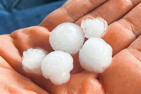 das hagel unwetter vom freitag trifft winzer  sudbaden