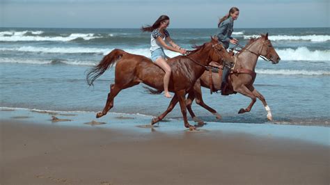 Super slow motion shot of women riding horses at beach, Oregon, shot on