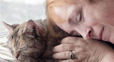 adopt  cat lovecats world