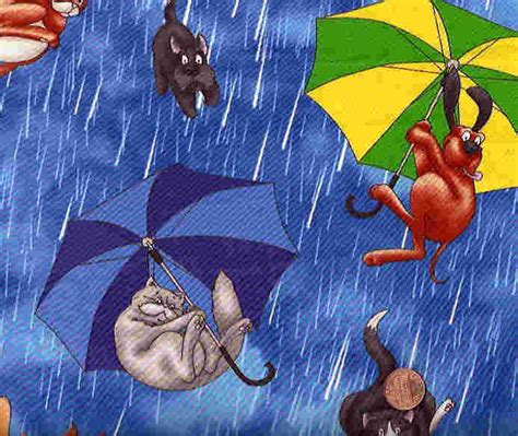 Spring 2011 Internship with the Daily Freeman: It's Raining Cats and ...