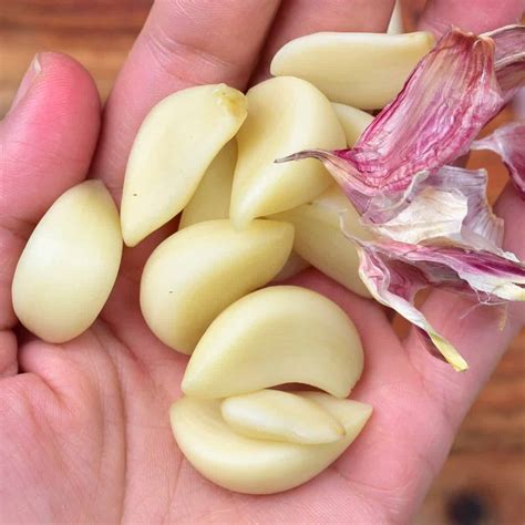 cloves  garlic minced
