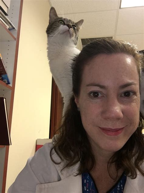 2nd avenue animal hospital 7