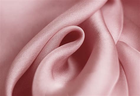 What is silk and how is it made? Everything you need to know, silk ...