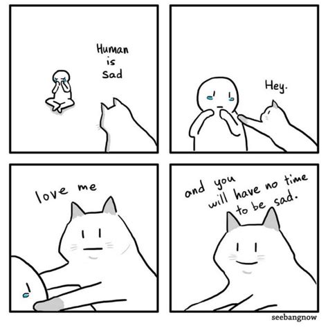 sad memes  life         laugh