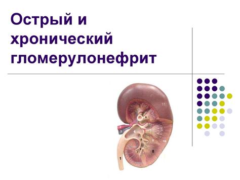 Острый и хронический гломерулонефрит - презентация онлайн