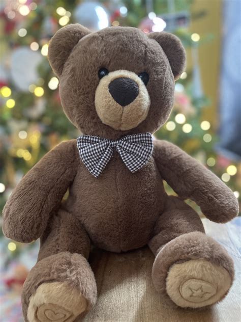 Smart Teddy is a soft and cuddly STEM toy
