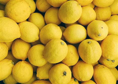 Limoni, al via la raccolta in Sicilia Orientale: Cia: "Produttori già ...