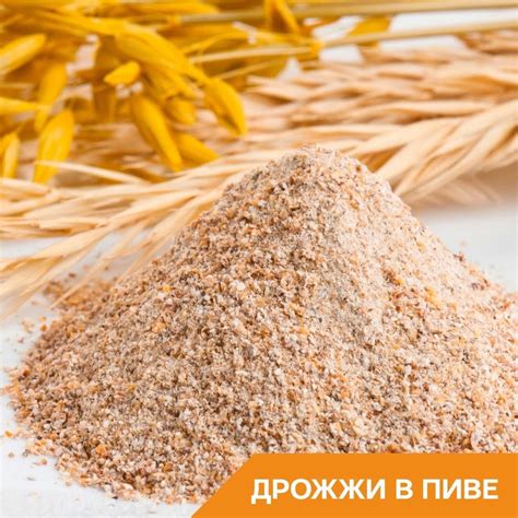 Для чего нужны дрожжи в пиве? Ферментация Главная задача дрожжей ...