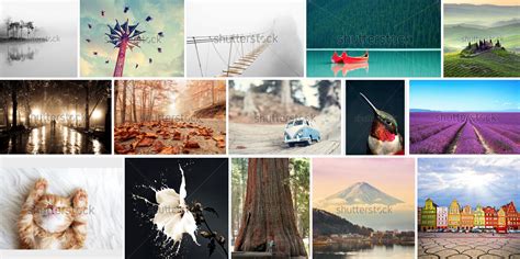 Shutterstock’s 15 Most Viral Images of 2015 - The Shutterstock Blog