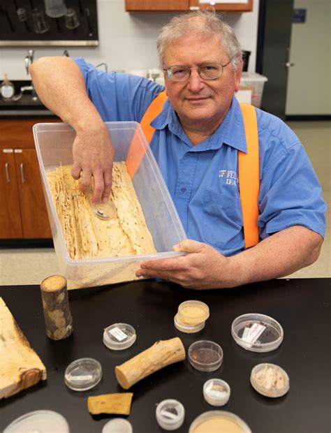 UF/IFAS entomologist lists top eight invasive species that invade