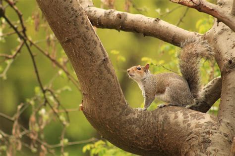 A Few Biodiversity Examples and How Are They Linked | Sustainable Warriors