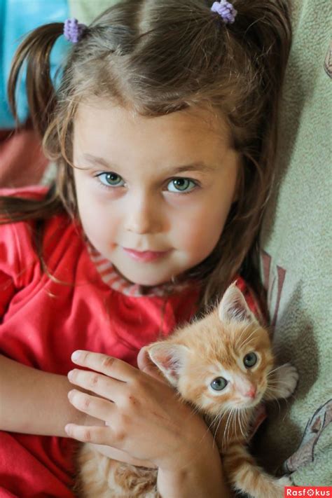 Фото: Котятки. Валентина vellory. Детские фото. Фотосайт Расфокус.ру ...