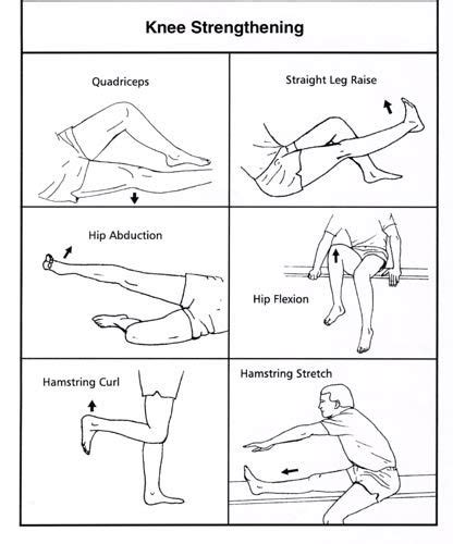 28 Physiotherapy Exercises For Knee ideas | knee strengthening ...