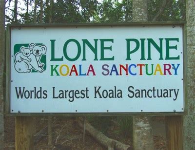 Lone Pine Sanctuary. Brisbane. Australia. - Zoos on Waymarking.com