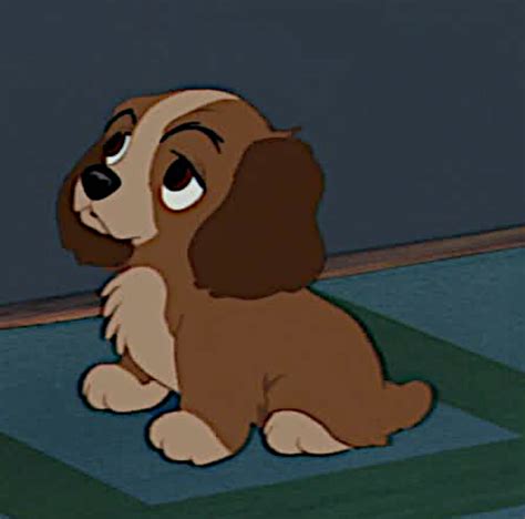 newclubimage - Disney's Lady and the Tramp Image (40974926) - Fanpop ...