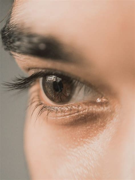 top  foods  improve eye sight news