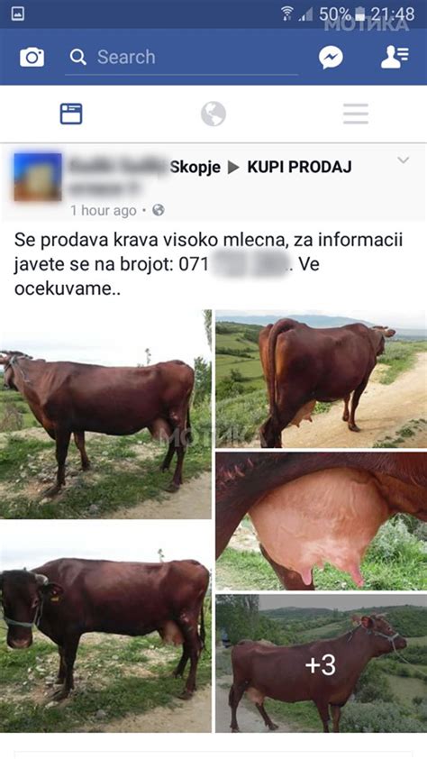 Врв на македонската Фејсбук трговија | Мотика