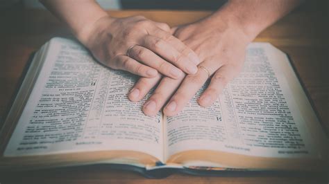Discover the 5 Covenants in the Bible - Olive Tree Blog