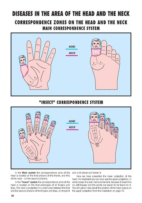 Su-Jok and moxa, a self-treatment manual - page 40