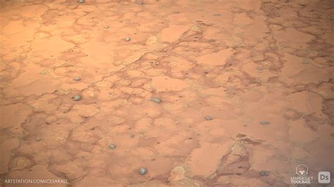 Cesar Altagracia - 3D Environment Artist - Stylized Dirt Terrain